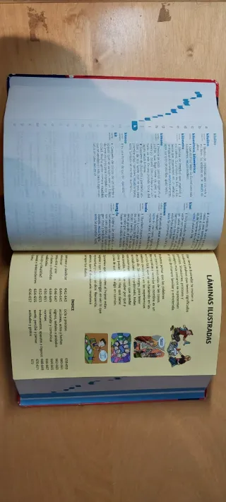 Diccionario de Primaria de lengua española