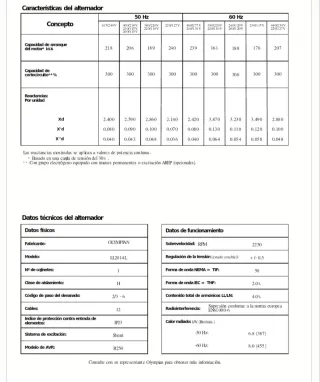 Generador Eléctrico Industrial..