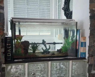 Filtro JBL CristalProfi e402 + Oxigenador