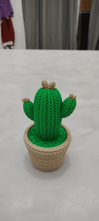 Cactus decorativo portaoggetti.