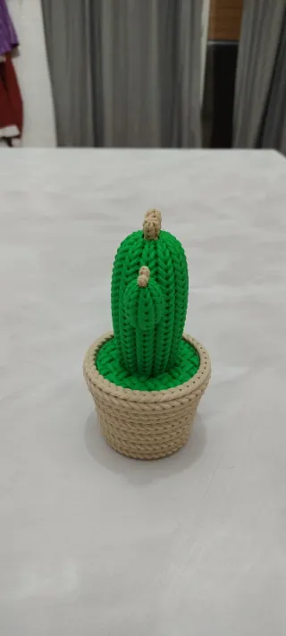 Cactus decorativo portaoggetti.