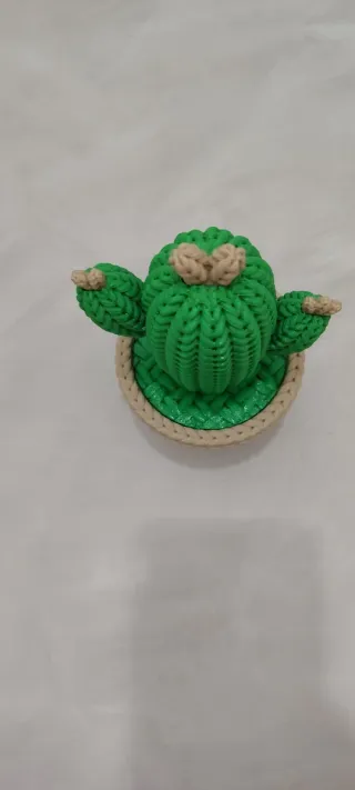 Cactus decorativo portaoggetti.