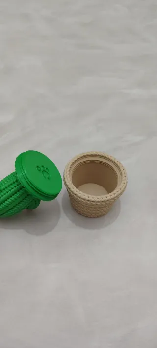 Cactus decorativo portaoggetti.