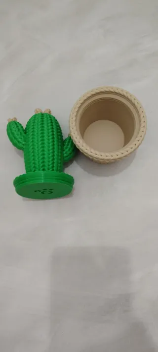 Cactus decorativo portaoggetti.