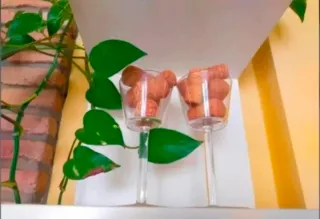 100 Tappi di Bottiglie di Vino