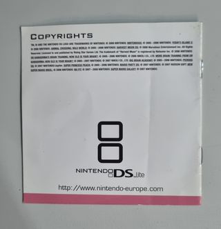 Folleto Publicidad Nintendo DS Lite
