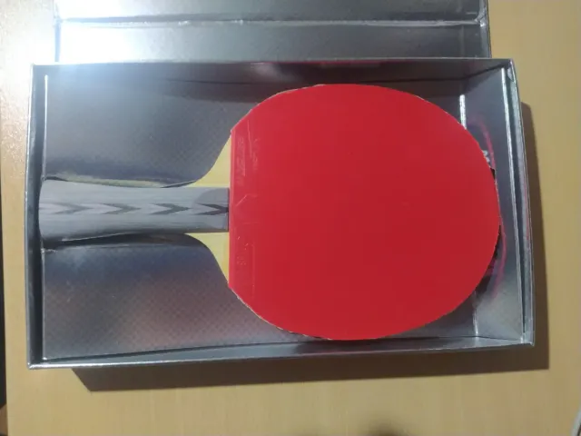 Pala Tenis de Mesa DHS 506