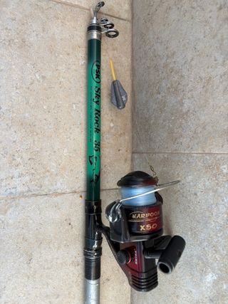 Conjunto de cañas de pescar