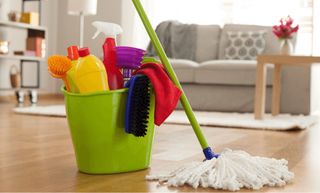 mujer de la limpieza