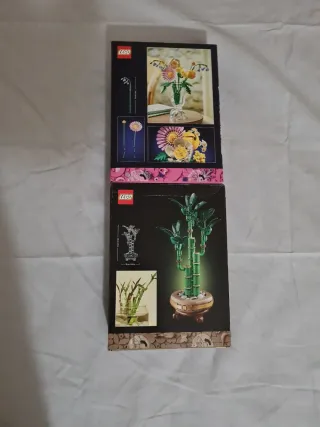 LEGO Botanicals: Bouquet e Bambù Fortuna
