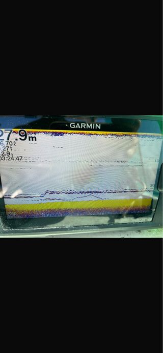 Sonda GPS Garmin Striker Vivid 7