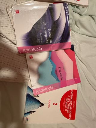 LA - Economia de la empresa 2 Bachillerato. Lib...