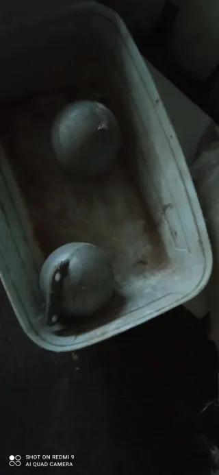 Varias herramientas de pesca