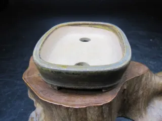 Maceta Bonsái Horie Biko 87x68x21mm
