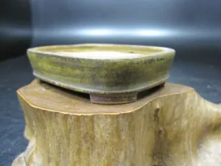 Maceta Bonsái Horie Biko 87x68x21mm