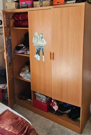 Armario de madera con puertas
