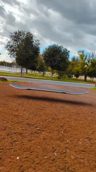 Tabla Longboard GATO.