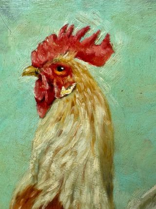 Quadro gallo 35x45