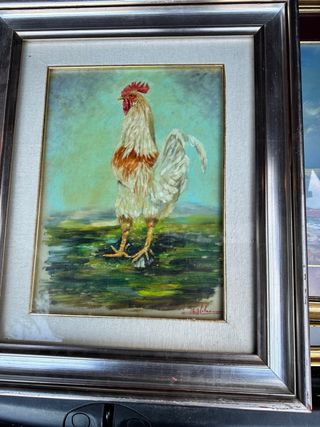Quadro gallo 35x45