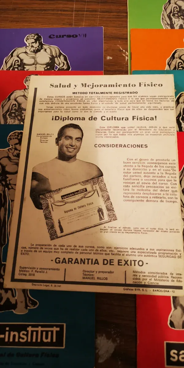 Curso Salud y Mejoramiento Físico sansont-instut