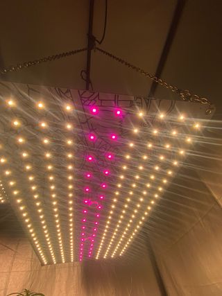 Kit Cultivo LED Profesional