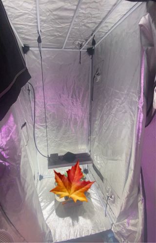 Kit Cultivo LED Profesional