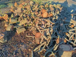 Leña de almendro para estufas y casetes ect