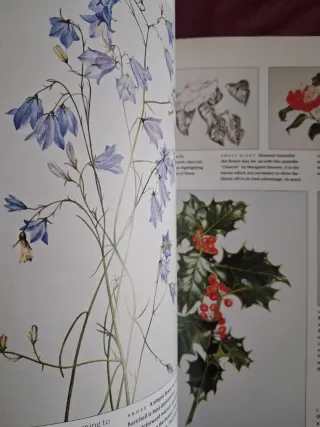 An Introduction to Drawing Flowers Form, Techni...