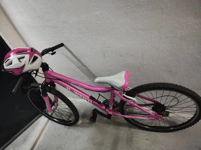Bicicleta Infantil Rosa JL-WENTI