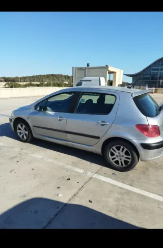 Peugeot 307 2001