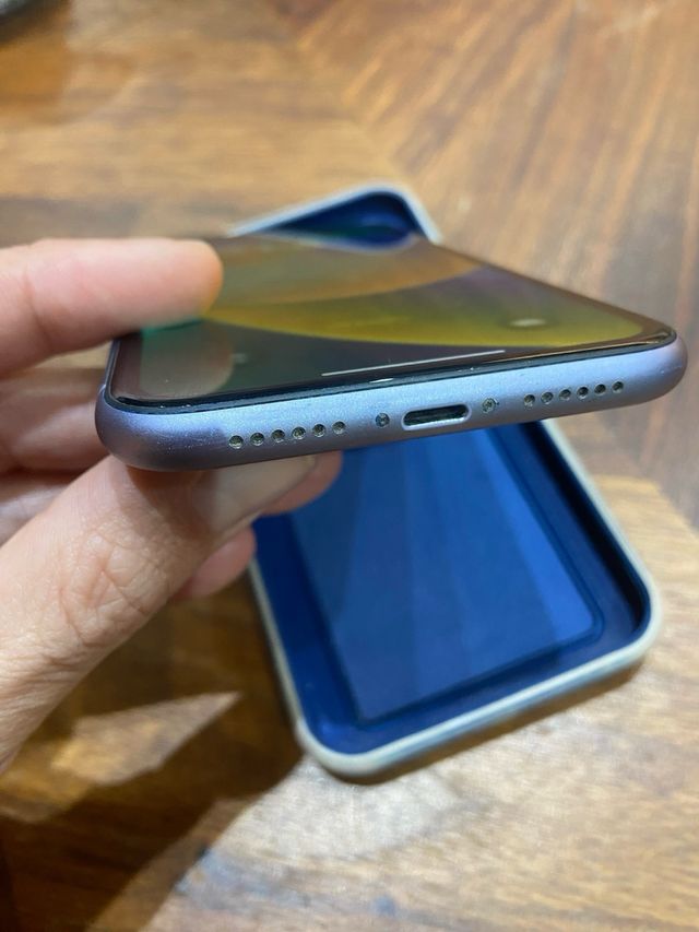iPhone 11 Viola