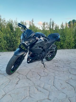 Kawasaki Z 300 2017 ITV hasta 2027