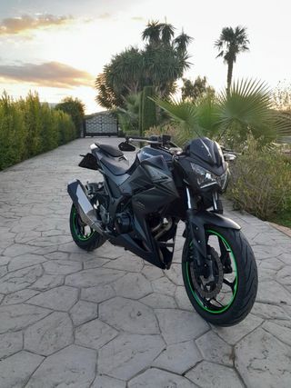 Kawasaki Z 300 2017 ITV hasta 2027