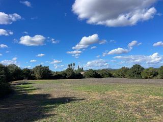 Solar en venta en Campos