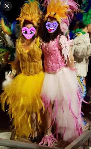 Disfraz Carnaval Plumas Naranja Rosa Talla Única.