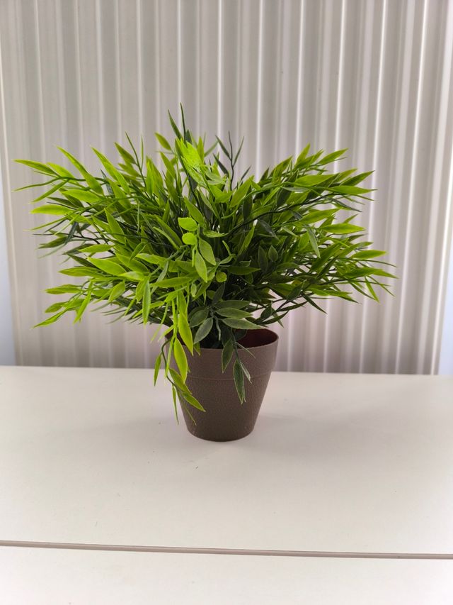 Pianta decorativa in plastica