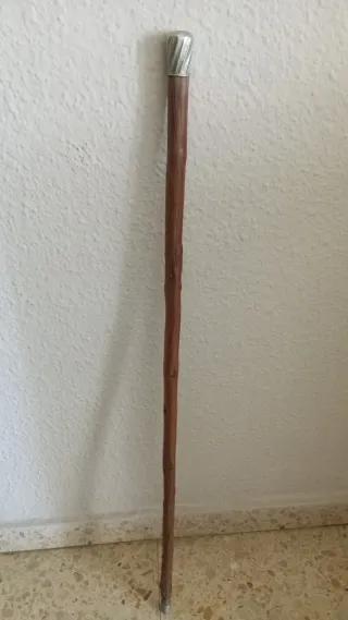 Bastón con pomo plateado
