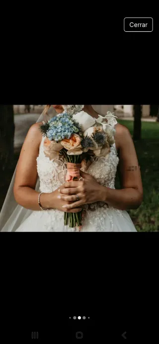 Vestido de Novia Princesa Pronovias