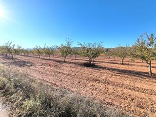 Terreno en venta en Yecla