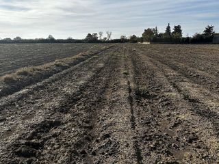 Terreno en venta en Pedanias en Huesca