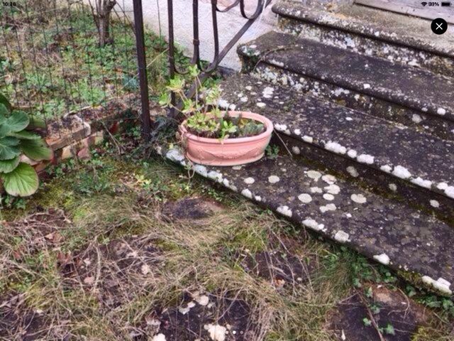 Vaso resina beige decorato