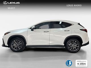 Lexus NX 450h+ Premium+ 4WD