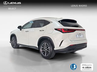 Lexus NX 450h+ Premium+ 4WD