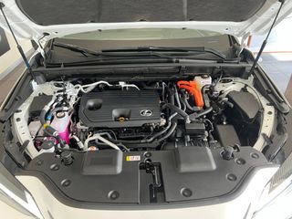 Lexus NX 450h+ Premium+ 4WD