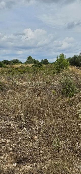 Terreno en venta en Móra d´Ebre