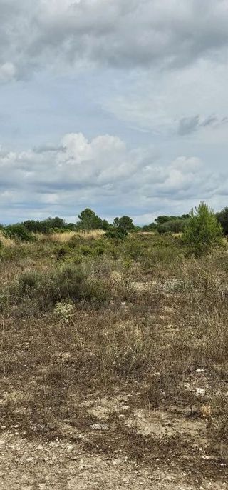 Terreno en venta en Móra d´Ebre