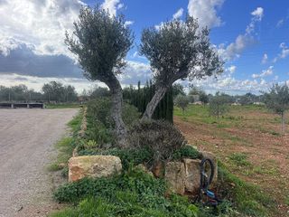 Terreno en venta en Llucmajor Interior en Llucmajor