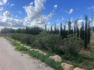 Terreno en venta en Llucmajor Interior en Llucmajor