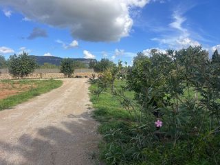 Terreno en venta en Llucmajor Interior en Llucmajor