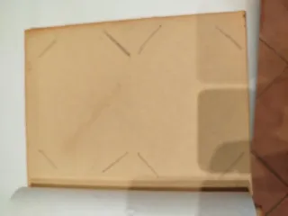 Álbum de fotos exótico con diseño de lagarto